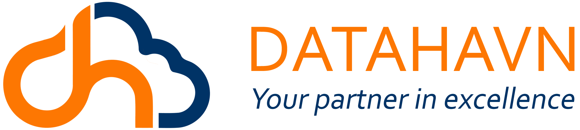 DataHavn IT Solutions